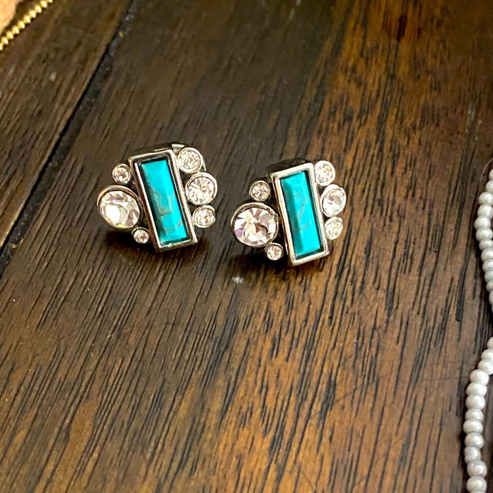 Fossil earrings